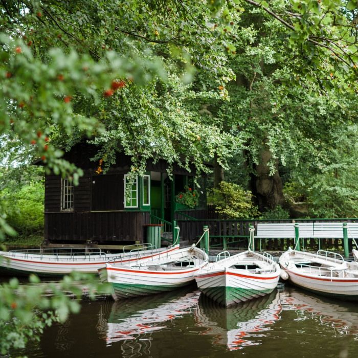 Рік з найщасливішими людьми у світі: сонячні фото - фото 1