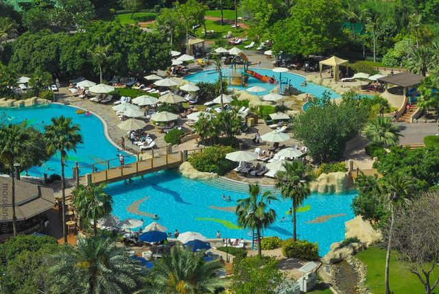 Усередині цього унікального готелю – справжні джунглі- фото 264483