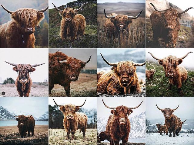 В Instagram показали однотипні фото мандрівників - фото 266158