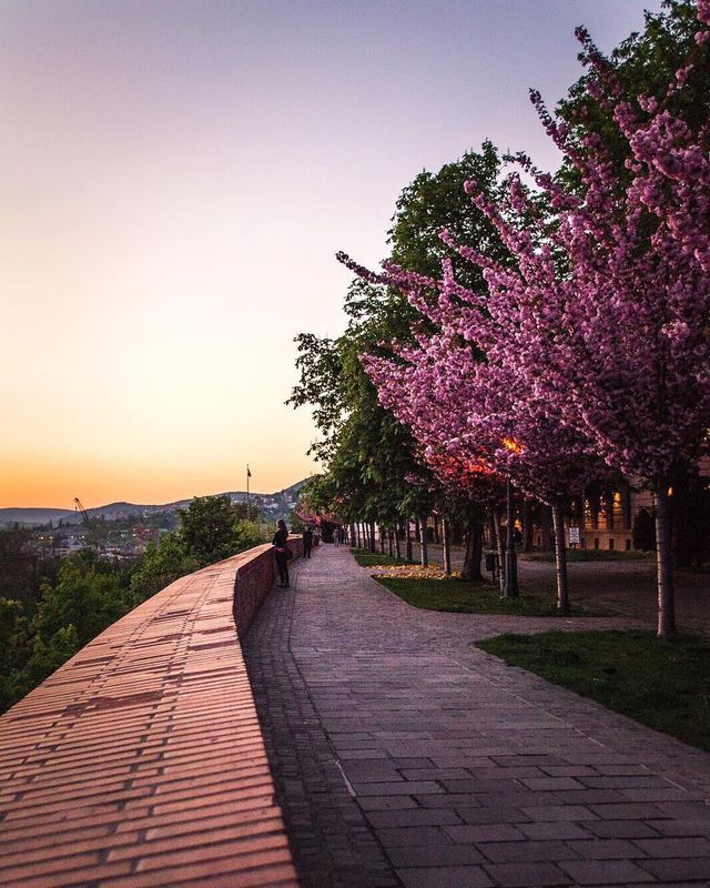 Алла Іллес ділиться подорожами Європою - фото 266668