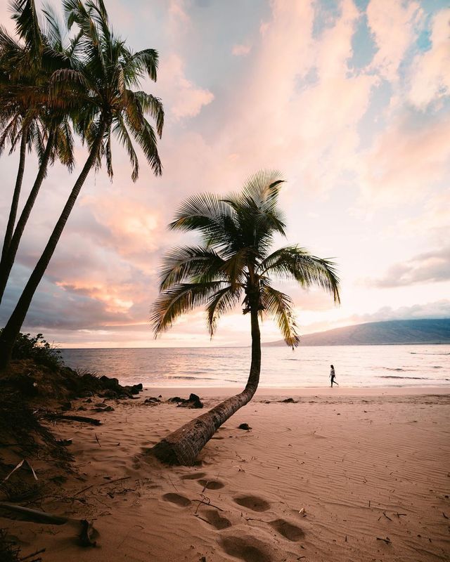 Чарівне життя на Гаваях в об'єктиві фотографа - фото 259694