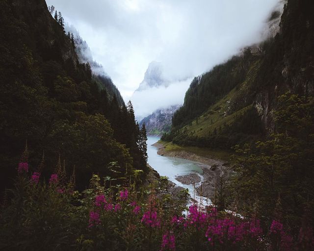 Відомий фотограф показує особливу красу мандрів - фото 262396