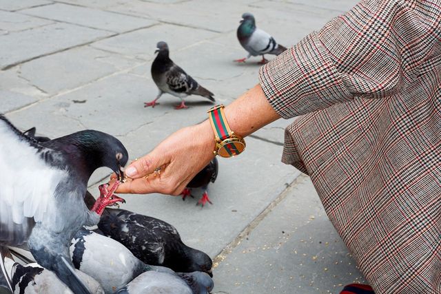 Ефектні кадри рекламної кампанії годинників Gucci - фото 264120