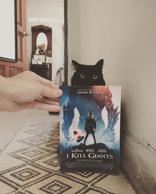 Постери відомих фільмів доповнили домашні улюбленці - фото 261309