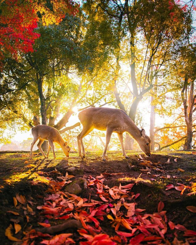  Еммет Спарлінг надихає своїми подорожами в Instagram - фото 264645