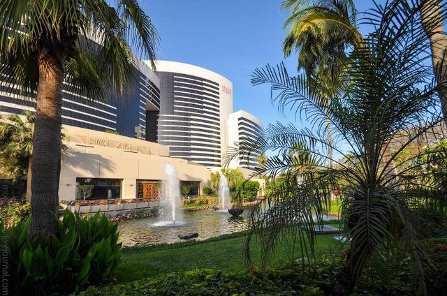 Усередині цього унікального готелю – справжні джунглі- фото 264485