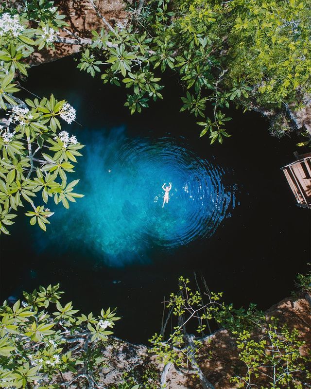 Відомий фотограф показує особливу красу мандрів - фото 262400