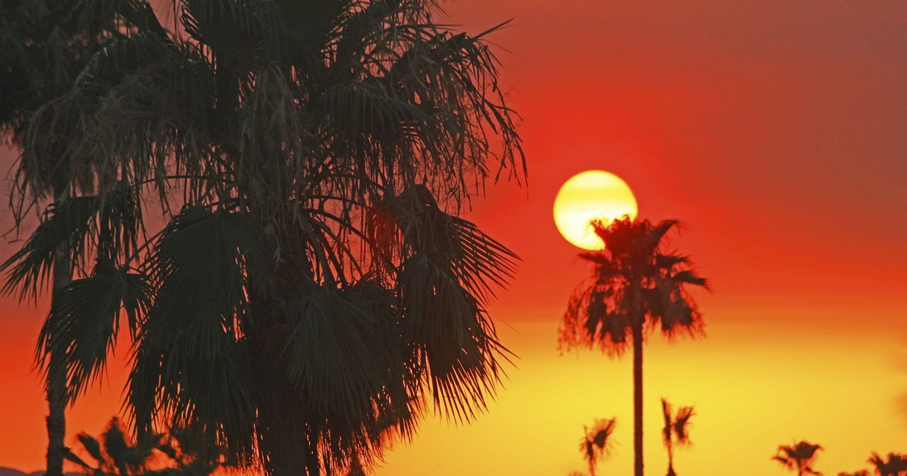 У Японії зафіксували найвищу температуру за всю історію