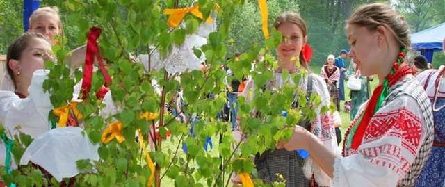 Завивання берізки - фото 262139