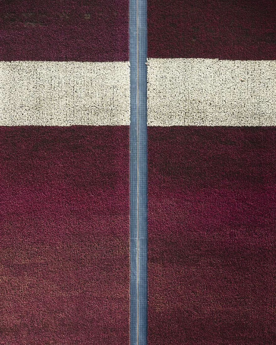 Килими з тюльпанів: незвичайні фото Тома Хегена