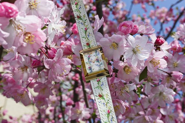 Ефектні кадри рекламної кампанії годинників Gucci - фото 264115