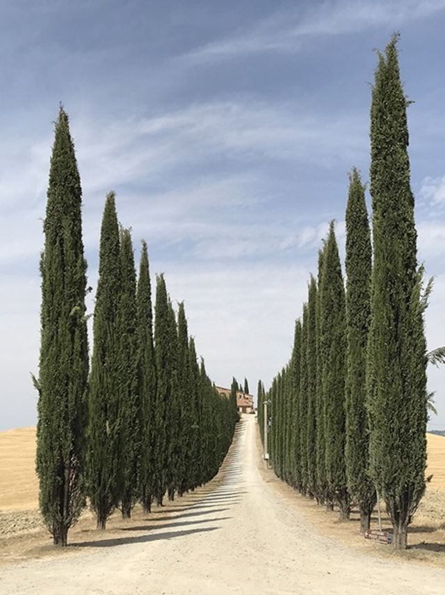 Найкращі фото, зроблені на iPhone - фото 264246