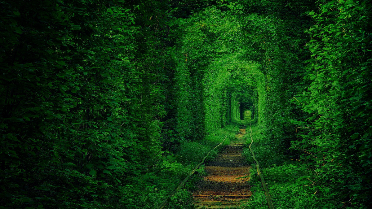 Тунель кохання на Рівненщині - фото 1