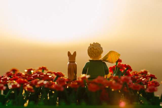 Ключові сцени з 'Маленького принца' з Lego - фото 266697