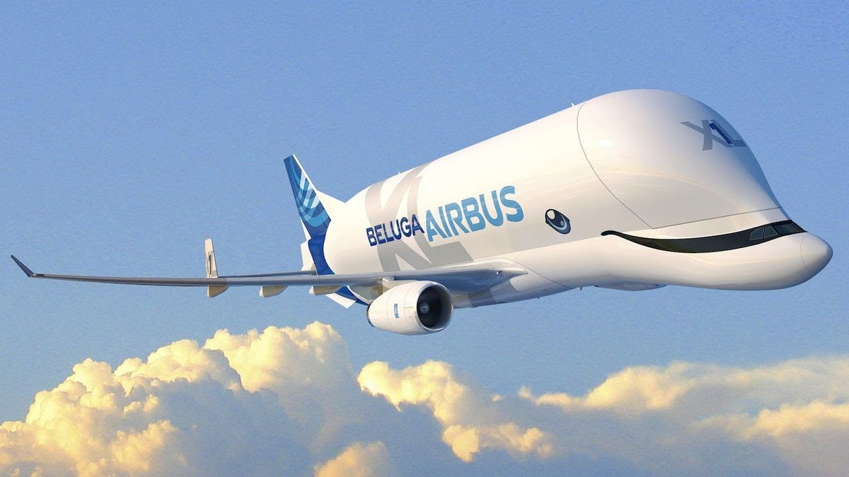 Airbus представив кумедний літак: фотофакт - фото 1