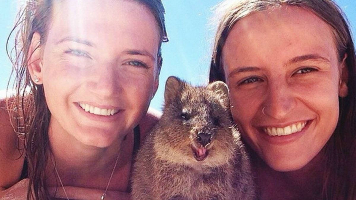 Так виглядає найщасливіша тварина у світі