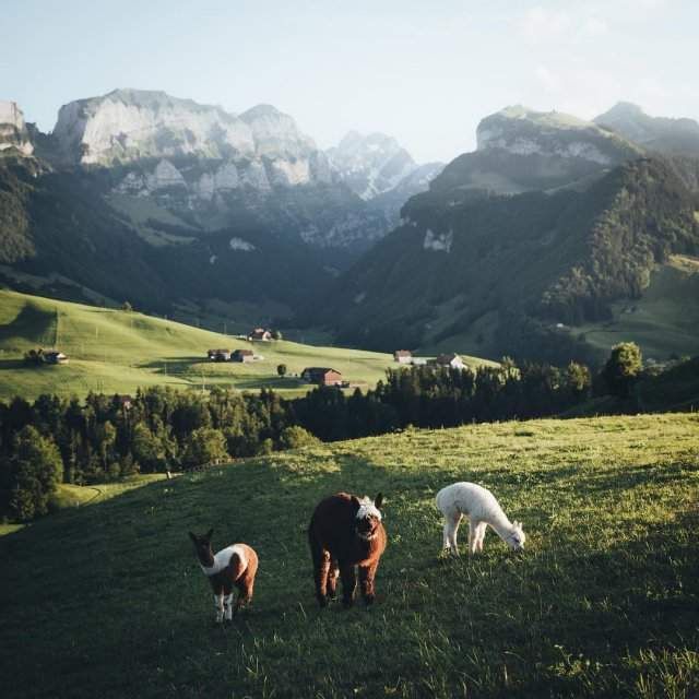 Казкові пейзажі з усього світу від німецького фотографа - фото 262792