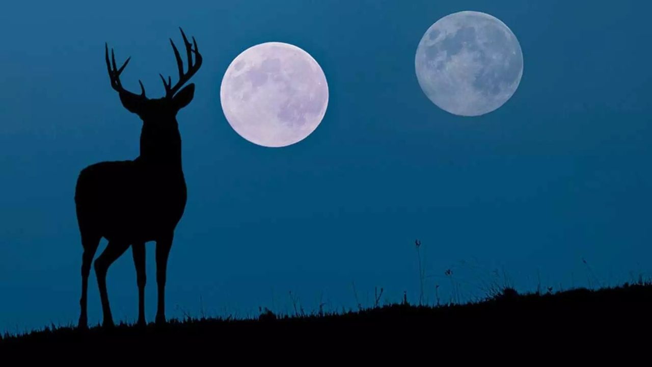 Вчені стверджують, що на Місяці могло існувати життя