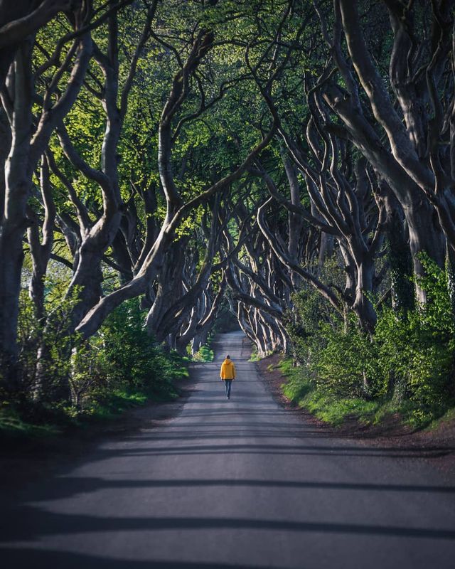 Талановитий британець надихає своїми мандрами - фото 264543