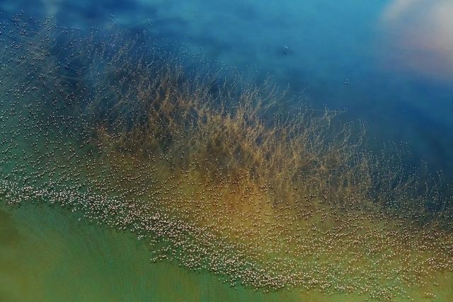 National Geographic назвало фотографа року - фото 259677