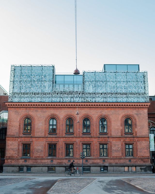 Рік з найщасливішими людьми у світі: сонячні фото - фото 259812