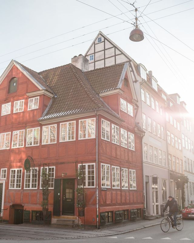 Рік з найщасливішими людьми у світі: сонячні фото - фото 259810