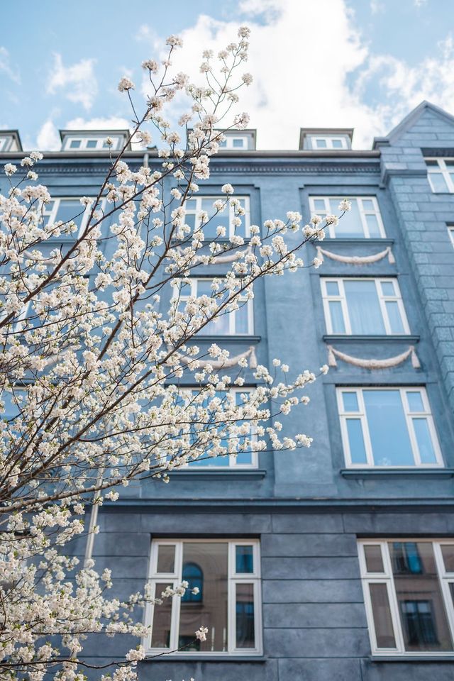 Рік з найщасливішими людьми у світі: сонячні фото - фото 259811