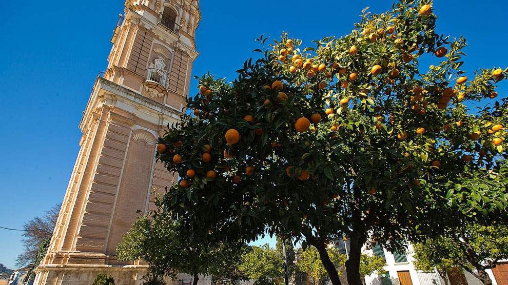 Це містечко передає весь колорит Іспанії