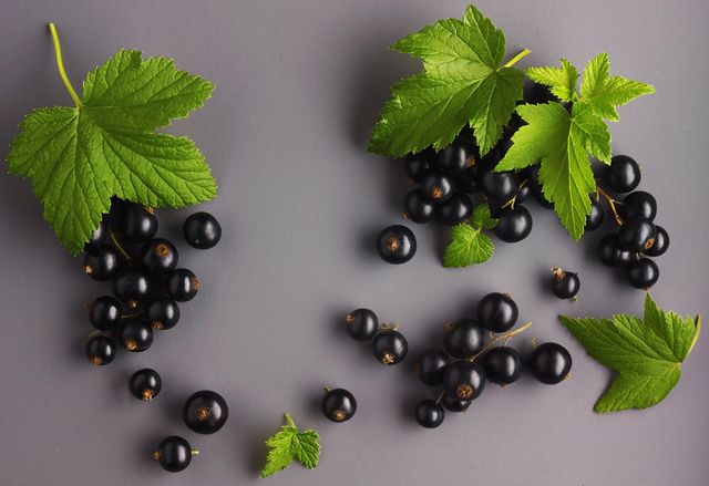 Ось чому варто пити чай з листям смородини - фото 261256