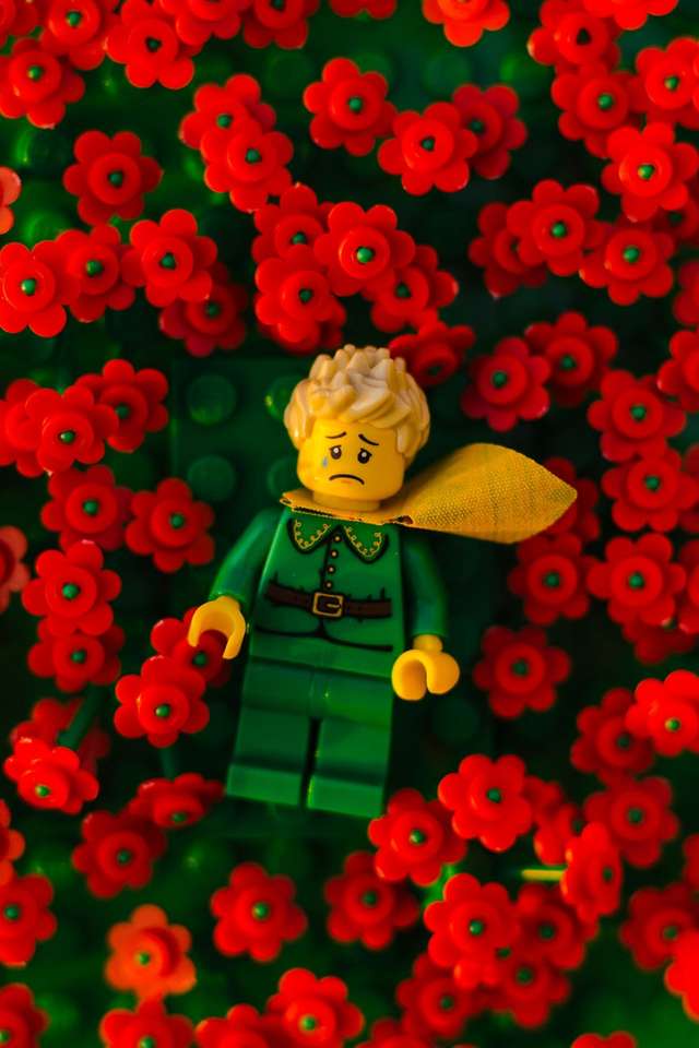 Ключові сцени з 'Маленького принца' з Lego - фото 266708