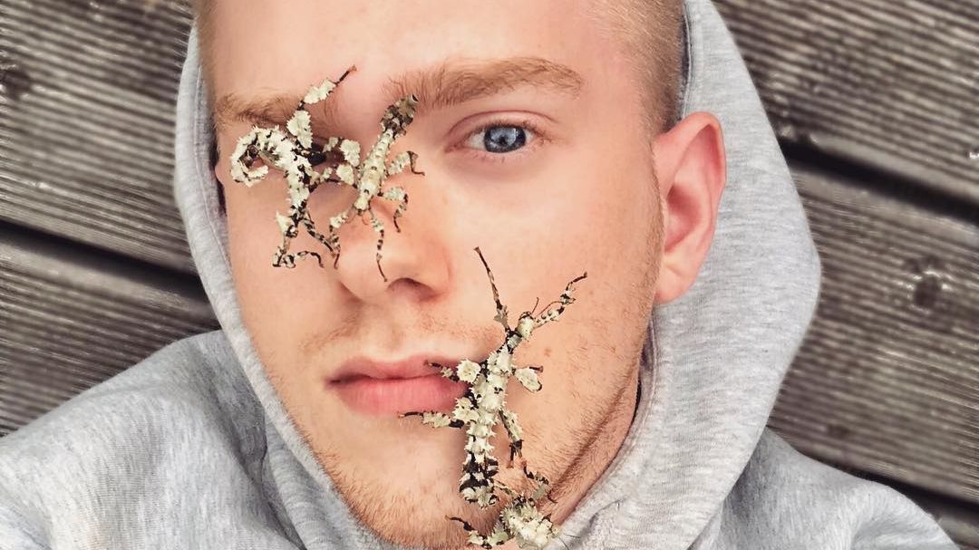 Цей хлопець робить безстрашні знімки з екотичними комахами - фото 1