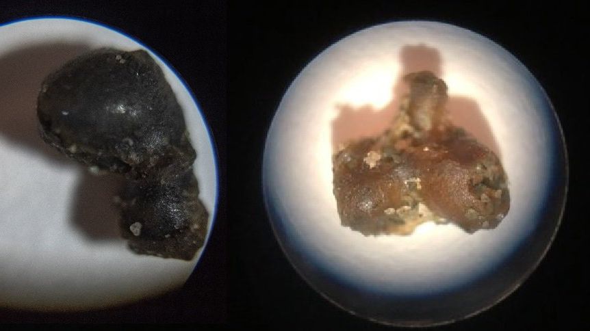 Уламки метеорита вперше підняли з дна океану