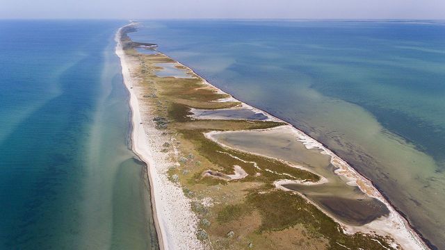 Джарилгач - фото 260953