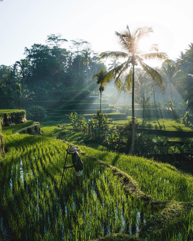 Метью Масс надиханє на мандри своїми тревел-знімками - фото 266117