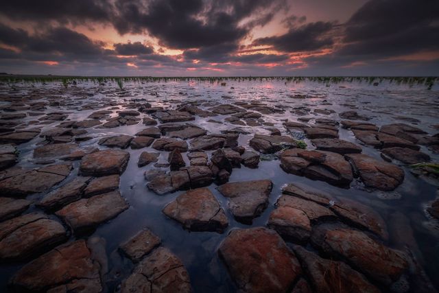 Дрос показує, що сухий ґрунт також може бути дуже фотогенічним - фото 263546