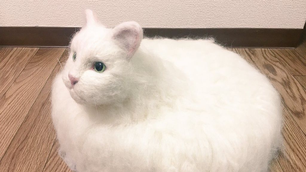 Японець вирішив схрестити кота з порохотягом: курйозне відео