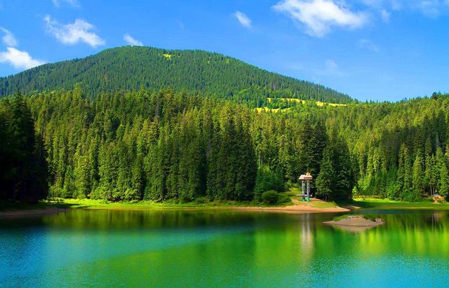 Синевир - фото 260951