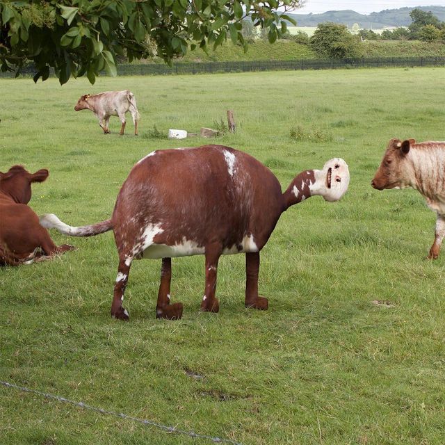 'Оживлені' малюнки дітей - фото 272046
