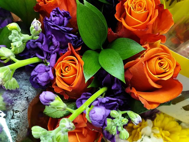 З'явилися фото, зроблені на смартфон Samsung Galaxy Note9 - фото 270075