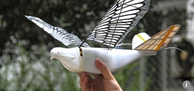 'Голубка' оснащена камерою, супутниковим зв'язком та GPS-датчиком - фото 268303