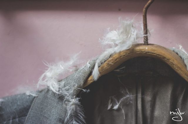 Закинуті спальні в об'єктиві Маріке Беркелар - фото 269328