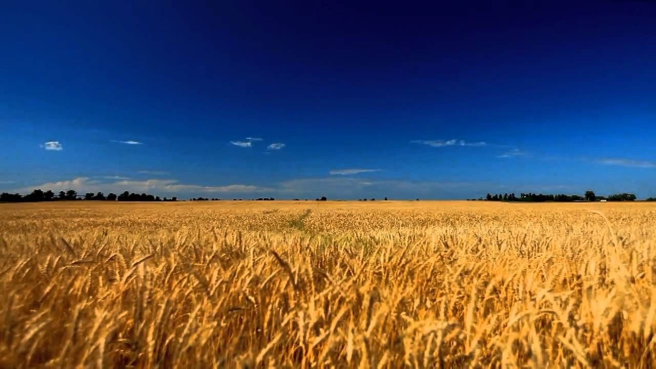 Погода в Україні 24 серпня - фото 1