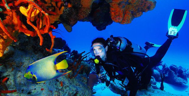 Наразі центр вважається одним з найкращих на болгарському узбережжі- фото 268415