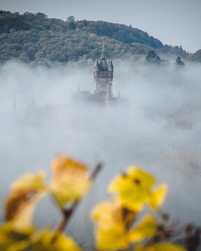 Казкові фото світу в об'єктиві Робіна Віттвера - фото 273295