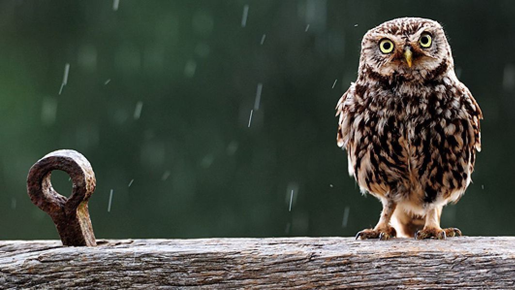 Синоптики попереджають про погіршення погоди