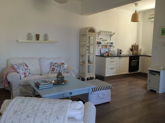 Ідеальна вакансія: у Греції шукають спостерігача за котами - фото 269937