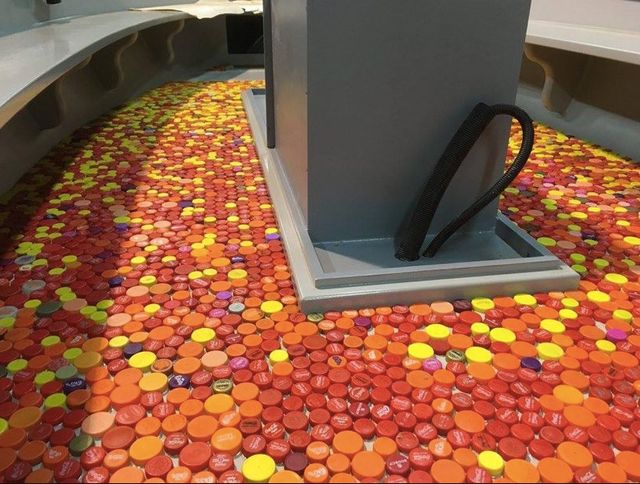 В Амстердамі під час екскурсії пропонують чистити канали - фото 272826