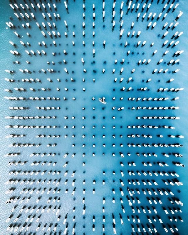 Особливі фото з висоти пташиного польоту від Демаса Руслі - фото 269298