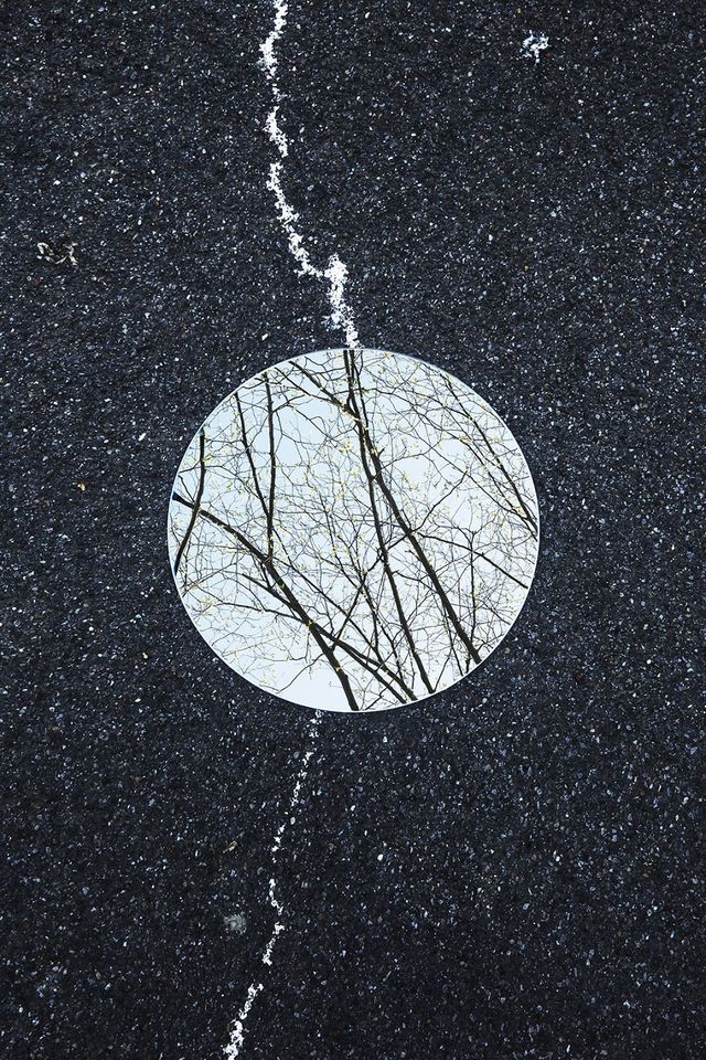 Природа у 'дзеркальних' фото - фото 270868