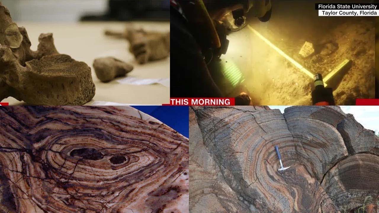 Життя існувало в океанах вже 3,8 мільярда років тому - фото 1